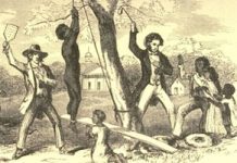 Connecticut Students Push for African-American Studies in Public School Curriculum