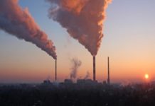 UN Climate Science Panel on Land Use Warns of Increased Carbon Emissions & Food Shortages