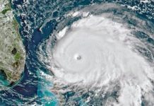 Climate Emergency: What Must be Done Now to Avert Climate Catastrophe