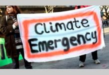 Green Party Presidential Candidate Howie Hawkins Calls for Declaration of National Climate Emergency