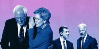 Democratic party presidential primary
