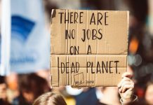Will the Pandemic Trigger a Broad Social Movement for Progressive Change?
