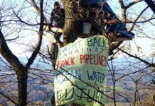 Police Arrest Mountain Valley Pipeline Tree-Sitters, Ending 932-Day Direct Action Protest tree sitters
