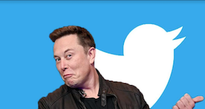 elon musk twitter