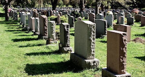 life expectancy