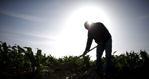 farmworkers union