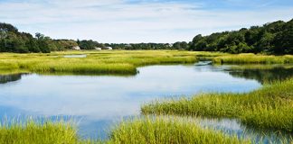 SCOTUS ruling gutting government's ability to Clean Water Act