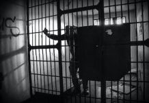 Fighting to Reform U.S. Mass Incarceration from Inside the System prison reform from within the system