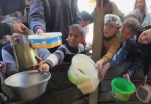 Humanitarian Crisis and Starvation in Gaza Demands Immediate Ceasefire