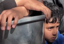 ‘Starvation Being Used as a Weapon of War in Gaza’; International Community Demands Immediate Ceasefire starvation as war in gaza