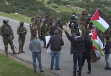 Beyond Devastation in Gaza, Palestinians Suffer Repression and Violence in Israeli-Occupied West Bank West Bank violence and repression