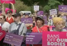 Abortion and Reproductive Rights are on the 2024 Election Ballot reproductive rights