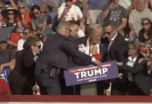 Trump assassination attempt