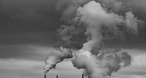 epa staff defend environmental regulations