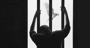 prison reform