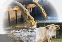 CT Billboard Campaign Educates Public on Many Harms of Animal Factory Farming go plantbased