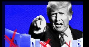 trump midterm election