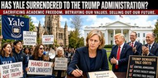 yale-trump surrender